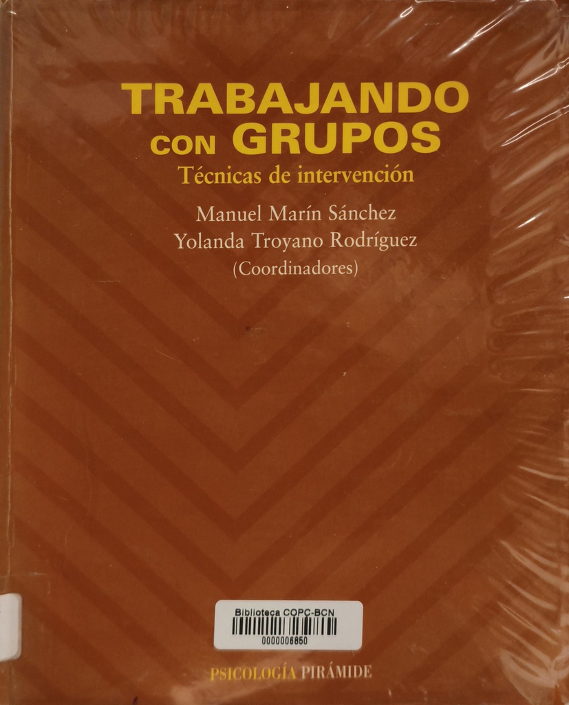 Trabajando con grupos : técnicas de intervención / coordinadores: Manuel Marín Sánchez, Yolanda Troyano Rodríguez