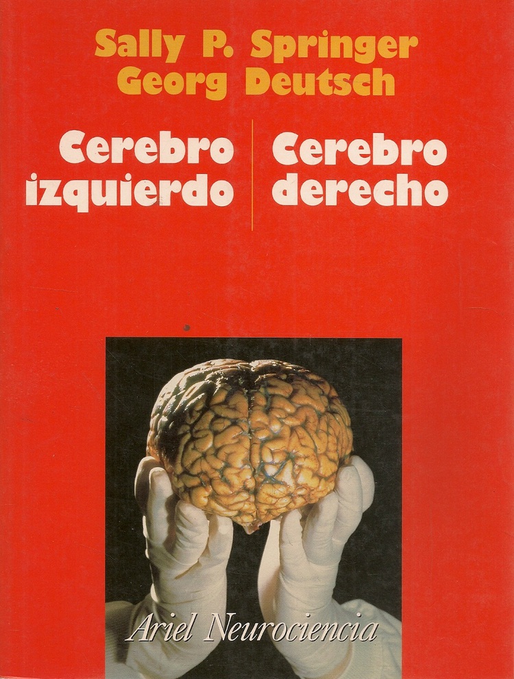 Cerebro izquierdo, cerebro derecho / Sally P. Springer y Georg Deutsch ; revisión científica, Carmen Junqué Plaja