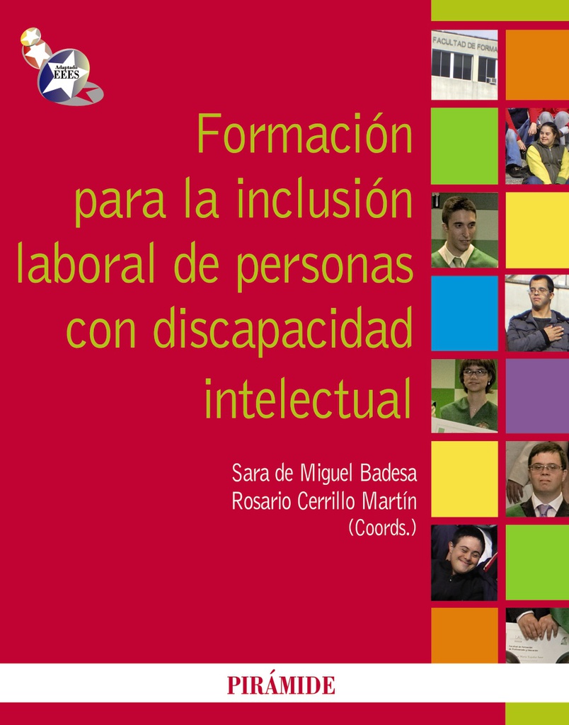Formación para la inclusión laboral de personas con discapacidad intelectual / coordinadoras Sara de Miguel, Rosario Cerrillo