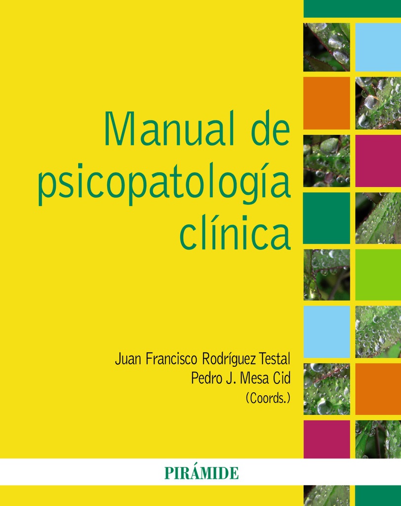 Manual de psicopatología clínica / coordinadores: Juan Francisco Rodríguez Testal, Pedro J. Mesa Cid