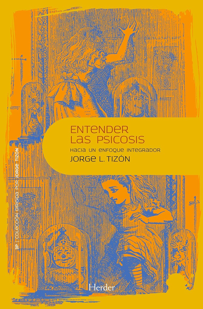 Entender las psicosis : hacia un enfoque integrador / Jorge Luis Tizón