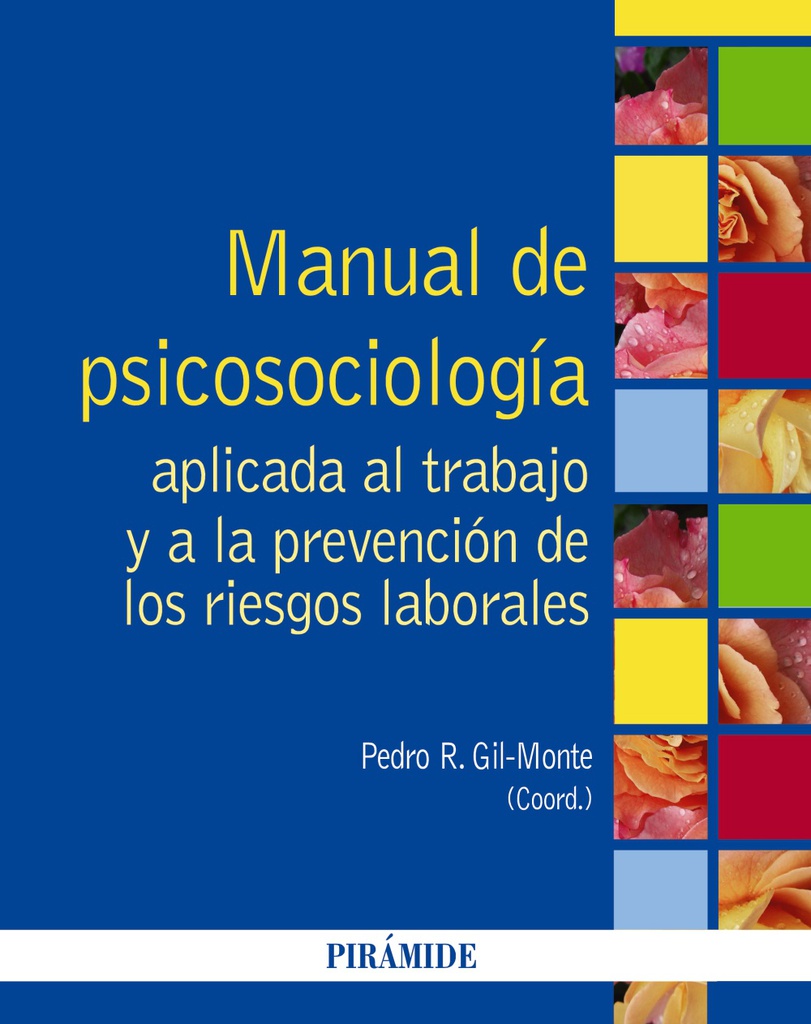 Manual de psicosociología aplicada el trabajo y a la prevención de los riesgos laborales / coordinador, Pedro R. Gil-Monte