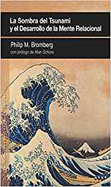 La sombra del tsunami y el desarrollo de la mente relacional / Philip M. Bromberg ; prólogo de Allan Schore ; traducción castellana elaborada por el Colectivo Grita y coordinada por Carlos Rodríguez Sutil.