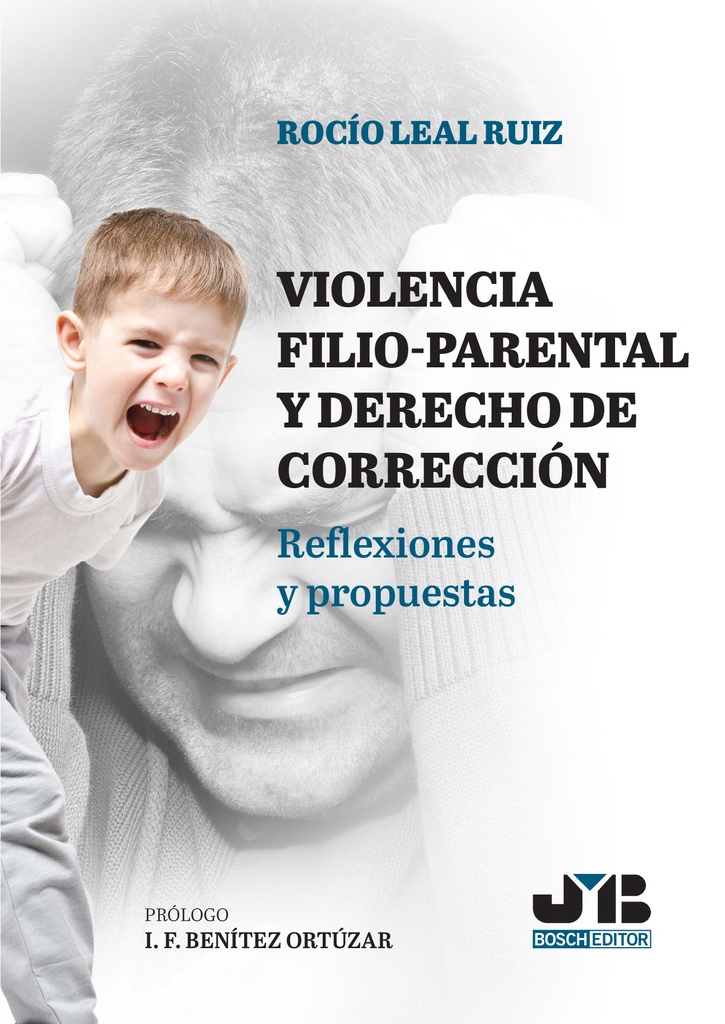 Violencia filio-parental y derecho de corrección : reflexiones y propuestas / Rocío Leal Ruiz
