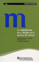 [4199] La Reincidència en el delicte en la justícia de menors / Manel Capdevila, Marta Ferrer, M. Eulàlia Luque